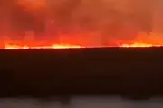 Incêndio na Bolívia ameaça área protegida no Pantanal de MS