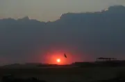 Incêndio na Espanha queima 13 mil hectares e expulsa centenas