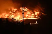 Incêndios florestais atingem Portugal, Grécia e Espanha neste domingo
