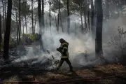 Incêndios na França e Espanha: desaceleração traz alívio, mas risco persiste