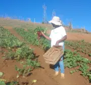 Italva e Cachoeiras de Macacu sediam encontros sobre agroecologia
