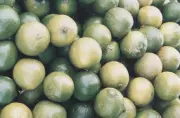 Jeito certo de conservar limão fresco com receitas