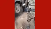 Jiboia de 1,5m é resgatada de para-choque de carro em Cuiabá