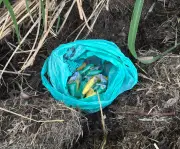Jovem de 18 anos detido por tráfico de drogas em Porto Real