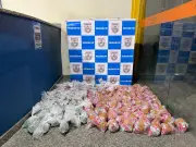 Jovem de 21 anos é preso com 16 kg de drogas na RJ-145 em Piraí
