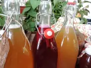 Kombucha: o que é, benefícios e como fazer a bebida fermentada