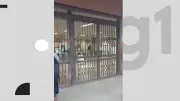 Linha Centro do Metrô do Recife interditada após furto de cabos