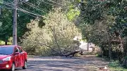 Litoral do Paraná terá fim de semana de sol após vendavais de até 70 km/h