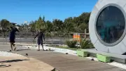 Litoral do Piauí: portal interativo, cajueiro gigante e revoada dos guarás