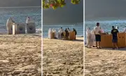 Lobo-marinho desnutrido é resgatado na Ilha Grande, em Angra dos Reis