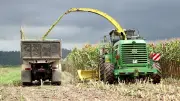 Macaé lidera produção de milho no RJ com 600 agricultores e R$ 6,8 milhões