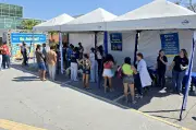 Macaé oferece castração, microchip e sepultamento gratuitos para pets