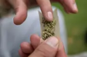 Maconha frequente desregula resposta ao estresse, diz estudo