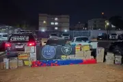 Mais de 1 tonelada de maconha é apreendida em Campo Grande; casal preso