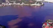 Mancha na Lagoa Rodrigo de Freitas é causada por microalga, descarta secretaria