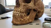 Mandíbula de 90 mil anos revela possível caso mais antigo de violência entre humanos