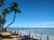 Maré baixa forma 'Caminho de Moisés' e atrai multidão a Maceió