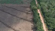 Maranhão tem pior acesso à informação ambiental na Amazônia Legal, aponta IDA 2026