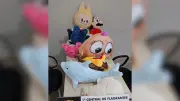 Mãe devolve 9 pelúcias retiradas por filho de máquina em shopping