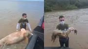 Mãe e filhote de boto-cor-de-rosa mortos no Rio Amazonas no AP