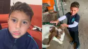 Menino autista de 5 anos desaparece em mata em Araucária