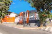 Mercado pet impulsiona clínicas veterinárias com especialização e humanização