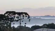 Meteorologista prevê mais geadas no Paraná e depois trégua do frio