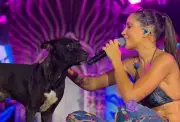 Michele Andrade mostra evolução de cão adotado após subir ao palco na PB