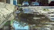 Minas naturais fazem água brotar em ruas de Campinas; moradores reclamam