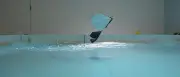 MIT cria robô que nada e voa usando apenas asas; veja vídeo