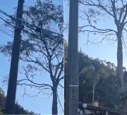 Moradores de Teresópolis ficam três dias sem energia após rompimento de cabo
