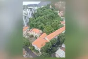 Moradores mantêm protesto pelo Colégio da Providência mesmo após recuo da prefeitura