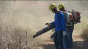 Moradores viram brigadistas para combater incêndios na Chapada dos Veadeiros