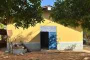 Morte de filhotes em abrigo improvisado em Cuiabá é investigada