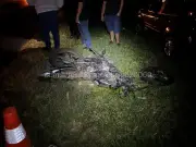Motociclista morre ao bater em carro na contramão em Catanduva
