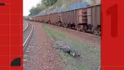 Motociclista morre ao ser atingido por trem em Colatina, ES
