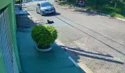 Motorista de app atropela cachorro e foge sem prestar socorro em Valinhos