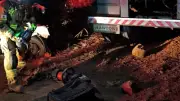 Motorista morre após batida frontal entre carro e caminhão na BR-352