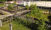 MPF dá 10 dias para retomada das obras da Casa da Mulher Brasileira em Manaus