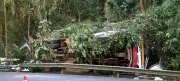 MT investiga acidente que matou duas lavradoras em SP e MG