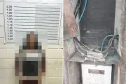 Mulher é presa por furto de energia e venda de produtos ilegais em Bertioga