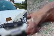 Neto Araújo: carreira do cantor e acidente com filho durante velório