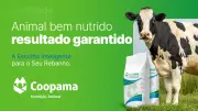 Nutrição Animal Coopama: soluções completas para pecuária eficiente