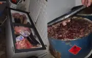 Oito toneladas de carne imprópria são apreendidas em Lagarto