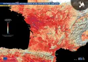Onda de calor na Europa: 1.028 mortes na Espanha em junho de 2026