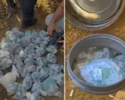 Operação apreende 4.277 pinos de cocaína e prende dois suspeitos em Miracema