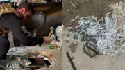 Operação no Piauí prende seis e apreende drogas em fossa
