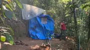 Operação retira quase meia tonelada de barracas no Parque da Tijuca
