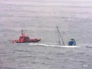 Orcas afundam veleiro na costa da Espanha em série de ataques