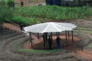 Pantanal Tech MS 2026: tecnologia e sustentabilidade em Aquidauana